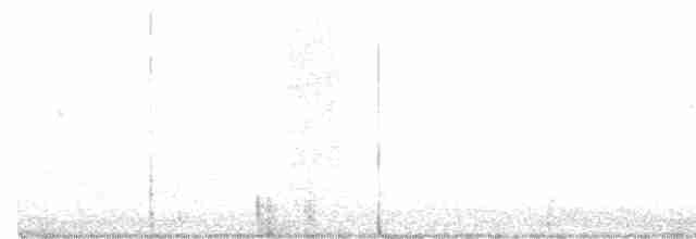 Song Sparrow (montana/merrilli) - ML351215431