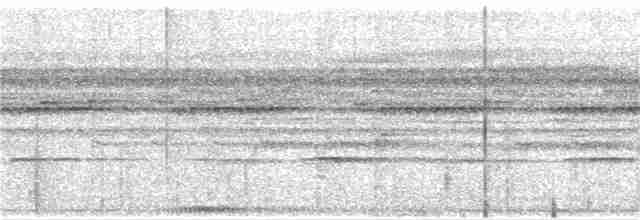 Сова-рогань бура - ML351231211