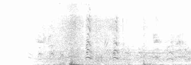 白腰叉尾海燕 - ML351381881
