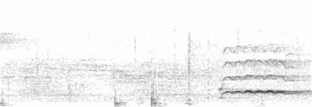 Гагара полярна - ML351387391