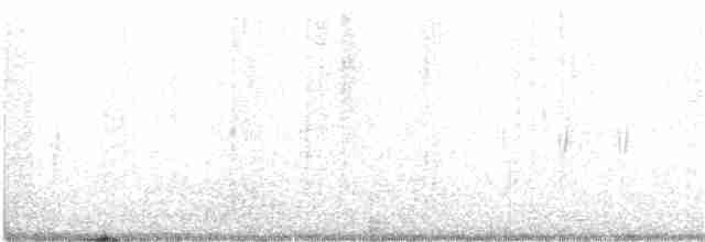 Шишкар ялиновий - ML351434281