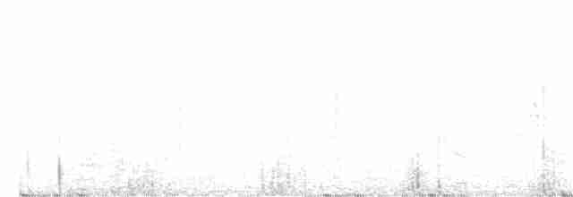 Kaya Çıtkuşu - ML351491281