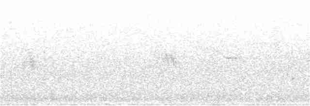Troglodyte des marais - ML351555341