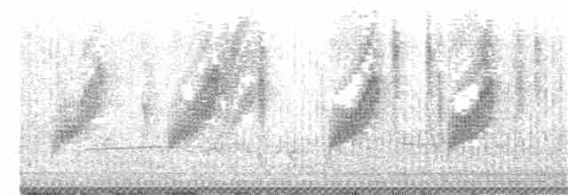 jamregressanger (distinctus) (klagegressanger) - ML351557021