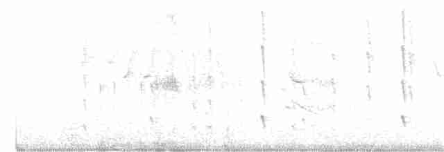 Kara Boğazlı Kolibri - ML351559061