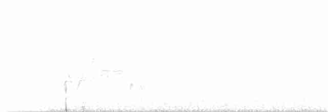 White-eyed Vireo - ML351583621