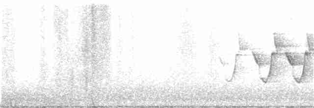 Черногорлая хвойница - ML351590161