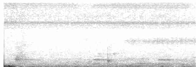 灰腳秧雞 - ML351676571