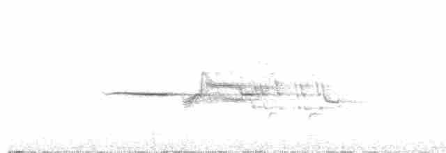 Münzevi Bülbül Ardıcı - ML351693711