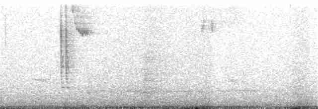 Kara Gözlü Junko [oreganus grubu] - ML351830961
