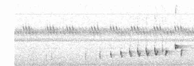 Buff-collared Nightjar - ML351900561