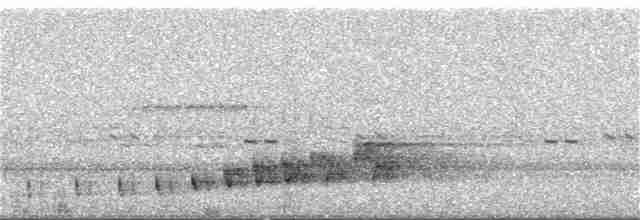 Braunhals-Nachtschwalbe - ML352036701