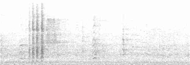 Oriole à dos rayé (groupe pustulatus) - ML352037181