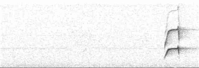 Бледногорлый миарх - ML352038251