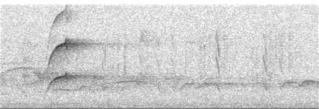Бледногорлый миарх - ML352118551