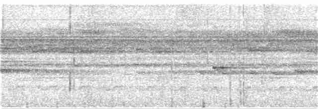 Лінивка плямистогруда - ML352118971