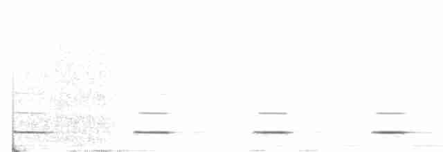 Сичик-горобець болівійський - ML352148121