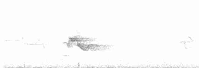 Сероголовый виреон - ML352183081