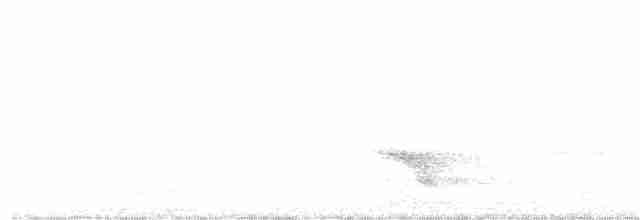 Дрізд-короткодзьоб бурий - ML352183201