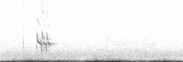 Короткоклювый бекасовидный веретенник - ML352196201