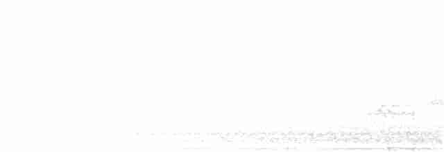 Пересмішник сірий - ML352204211