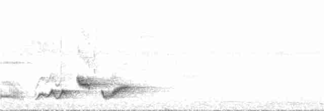 Weißbürzelschama [malabaricus-Gruppe] - ML352327781
