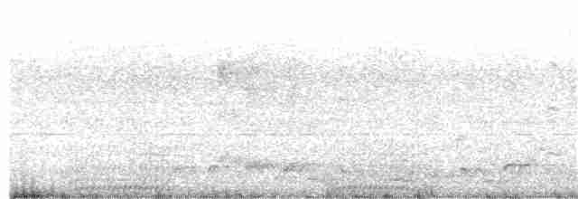 Mouette argentée - ML352335611