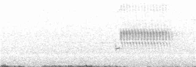 Spotted Towhee (oregonus Group) - ML352493131