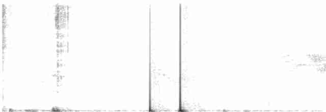 Cerulean Warbler - ML352542191