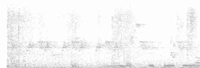 Нікорник сірий - ML352552181