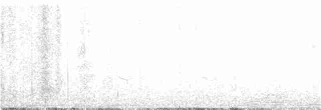 hvitkronespurv (oriantha) - ML352580131