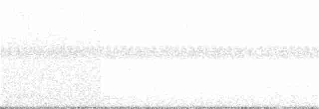 Gray-crowned Yellowthroat - ML35259061