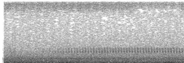 Eurasian Nightjar - ML352617471