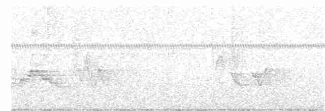 Дрізд-короткодзьоб бурий - ML352651681