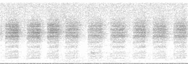 Woodchat Shrike - ML352657271