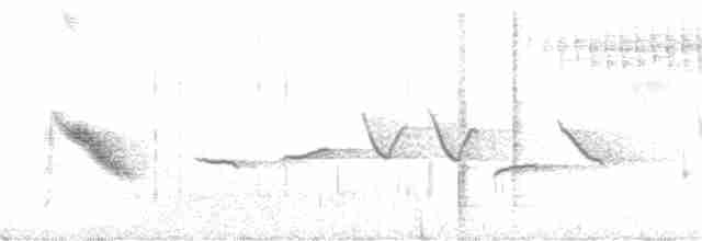 Пестрогорлый соловьиный дрозд - ML352682711