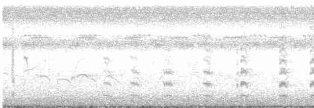 Common Gallinule - ML352695771