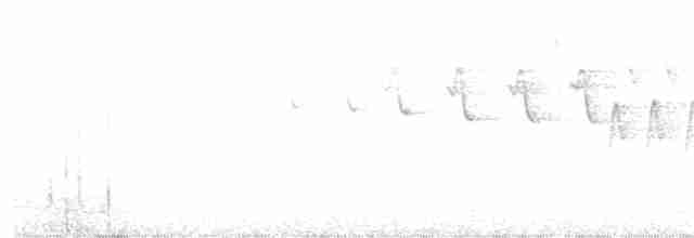 Червоїд сіроголовий - ML352698891
