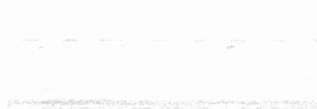 Каролинский крапивник - ML352714071