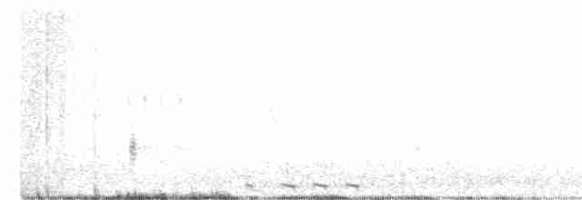 Black-billed Cuckoo - ML352716421