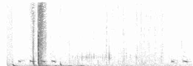 Black-billed Cuckoo - ML352717681