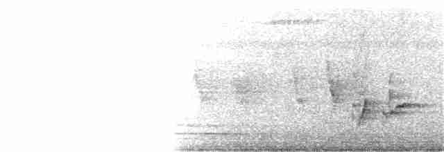 Luzonschneidervogel - ML352722631