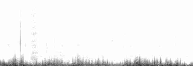 Büyük Çil Yelvesi - ML352767101