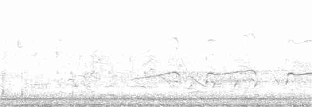 Fischadler (cristatus) - ML352798101