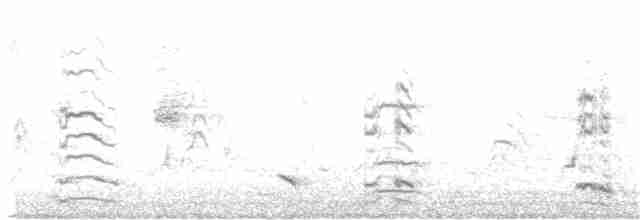 紐澳紅嘴鷗(novaehollandiae/forsteri) - ML352814371