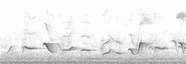 Gray Whistler (Brown) - ML352819171