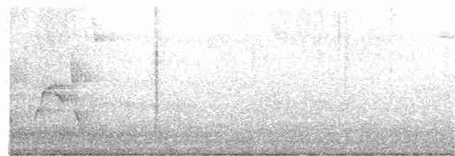 Karolina Çıtkuşu - ML352825181
