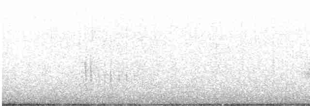 Gürtelfischer - ML352838521