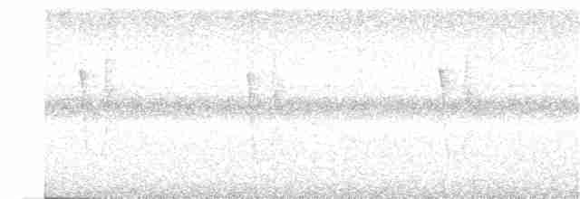 Галапагосский мухолов (nanus) - ML352838631
