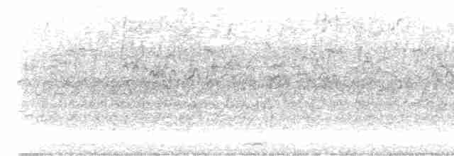 Cava Islıkçı Ördeği - ML352843961